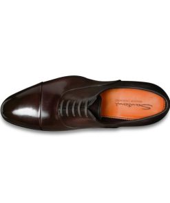 Theaestheticnarrative.shop189d27fd79 2
