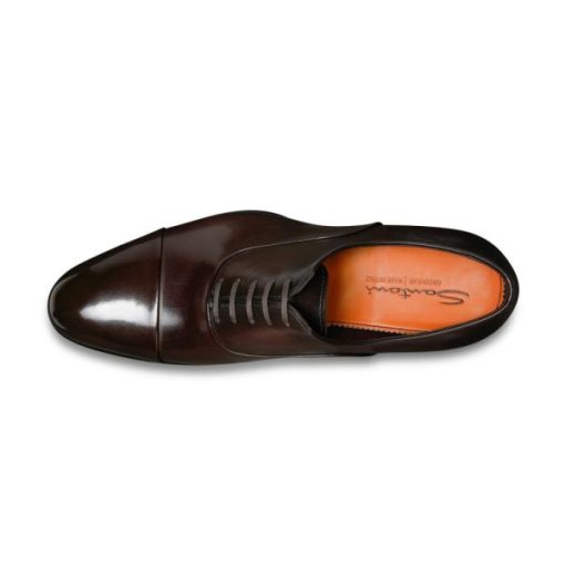 Theaestheticnarrative.shop189d27fd79 2