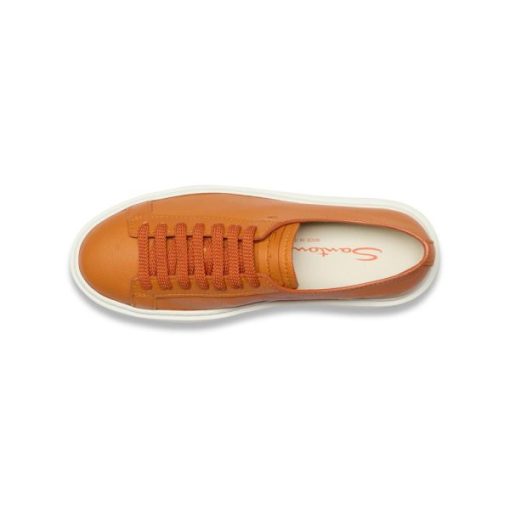 Theaestheticnarrative.shop2a7de0213f 3
