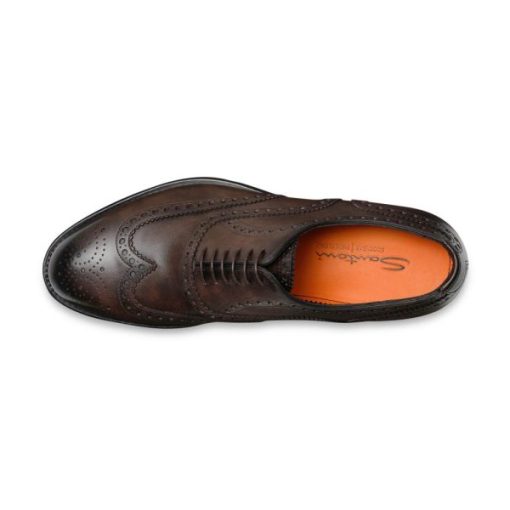 Theaestheticnarrative.shop59031d05df 2